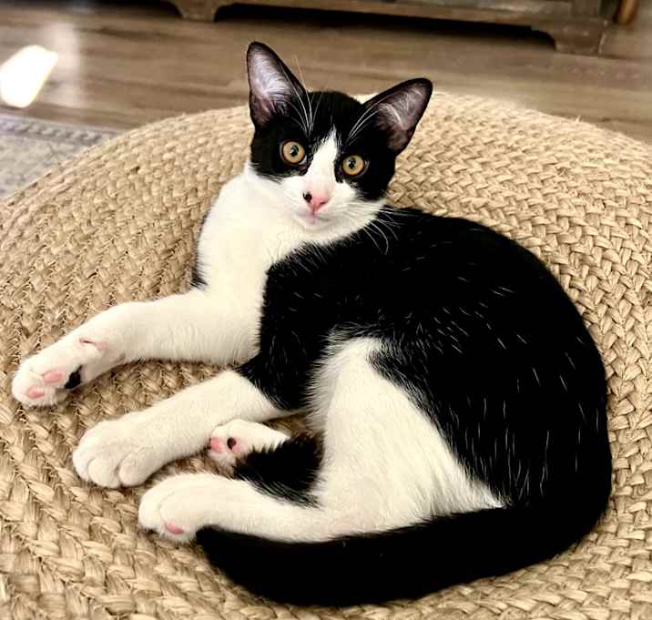 Photo of Gus