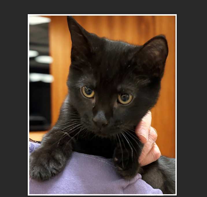 Photo of Wednesday