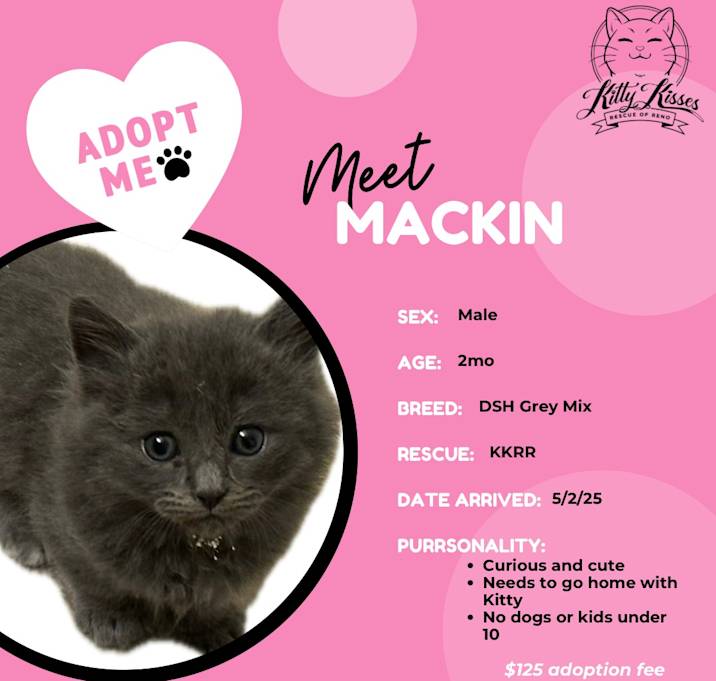 Photo of Mackin