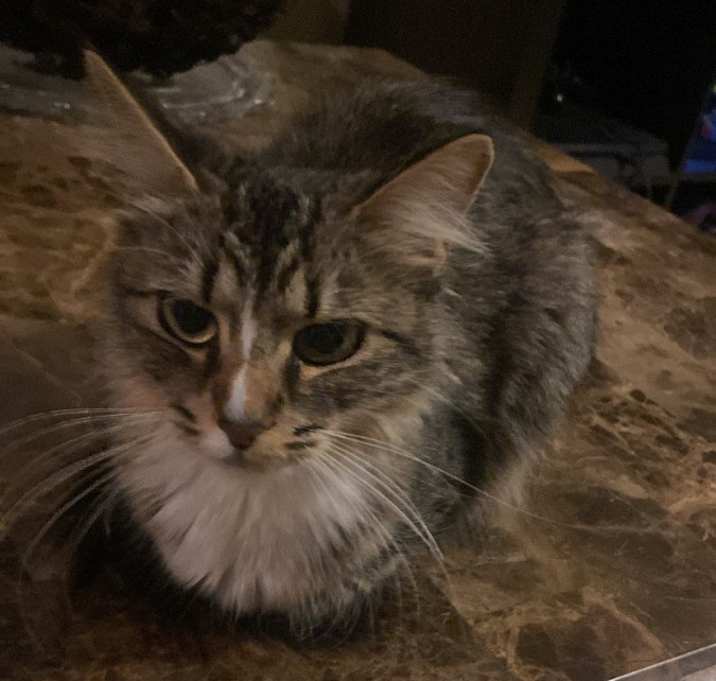 Photo of Vivi