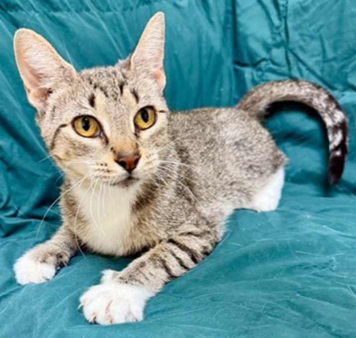 Photo of Phoebe