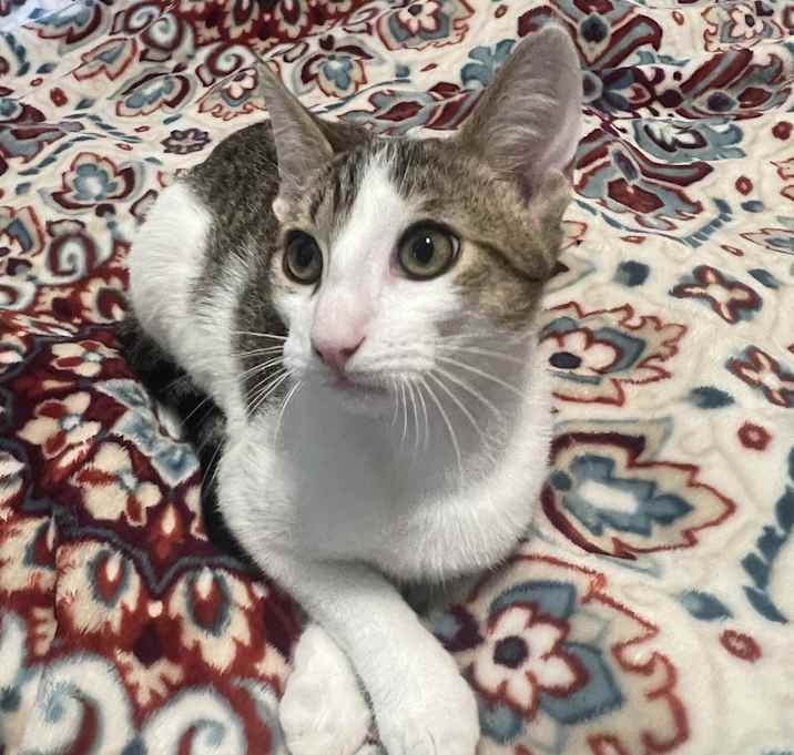 Photo of Charlie