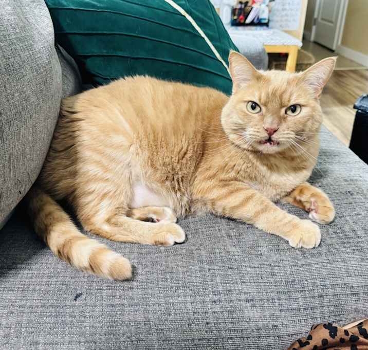 Photo of Charlie