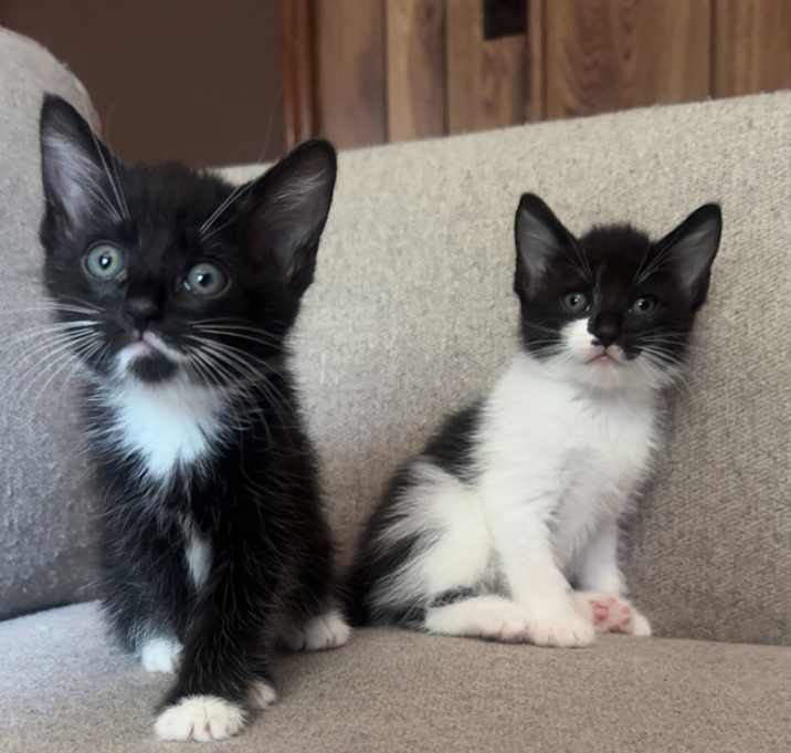 Photo of Babiesss