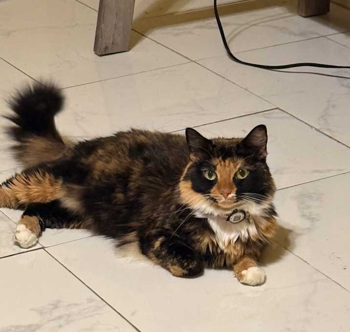 Photo of Mimzi