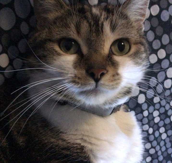 Photo of Misha
