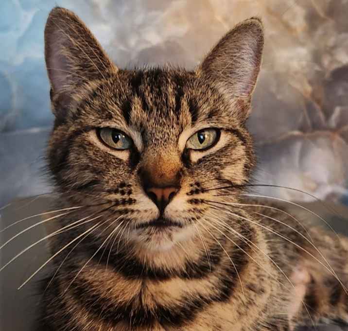 Photo of Allie