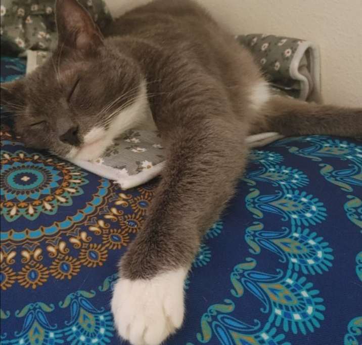 Photo of Pretty Baby