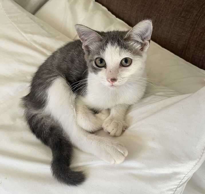 Photo of Sophie