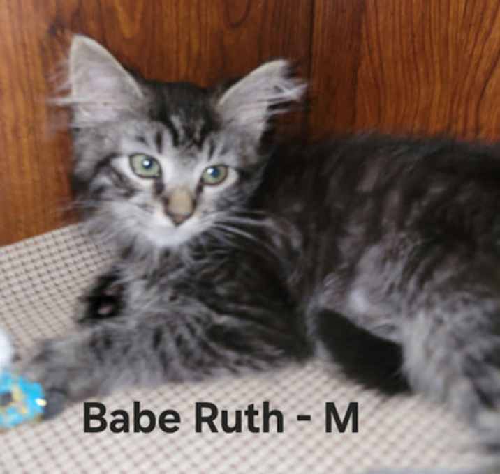 Photo of Baby Ruth