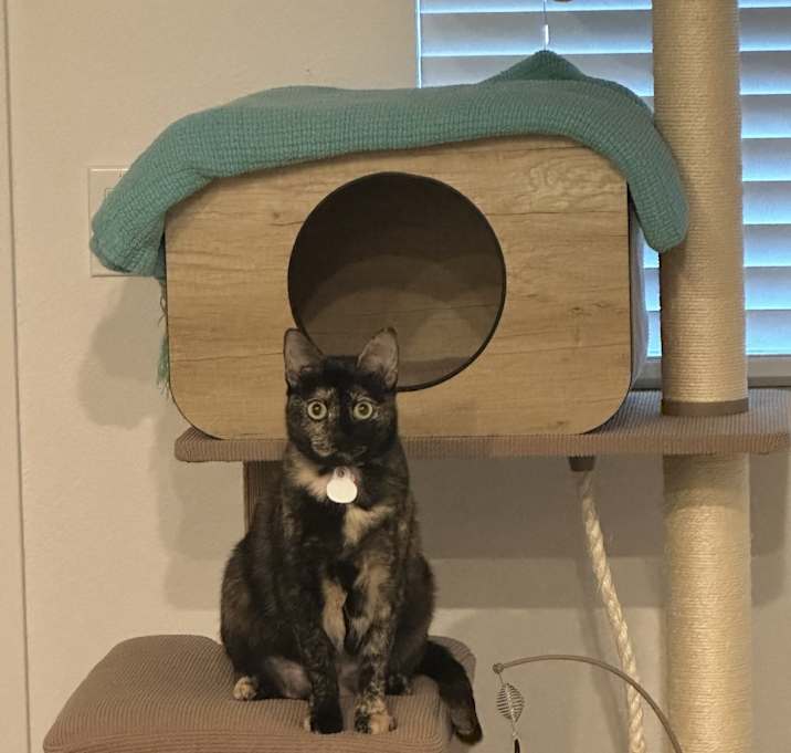 Photo of Storm
