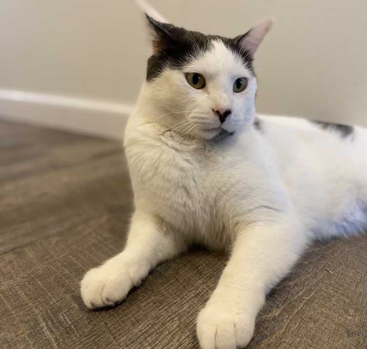 Photo of Fred