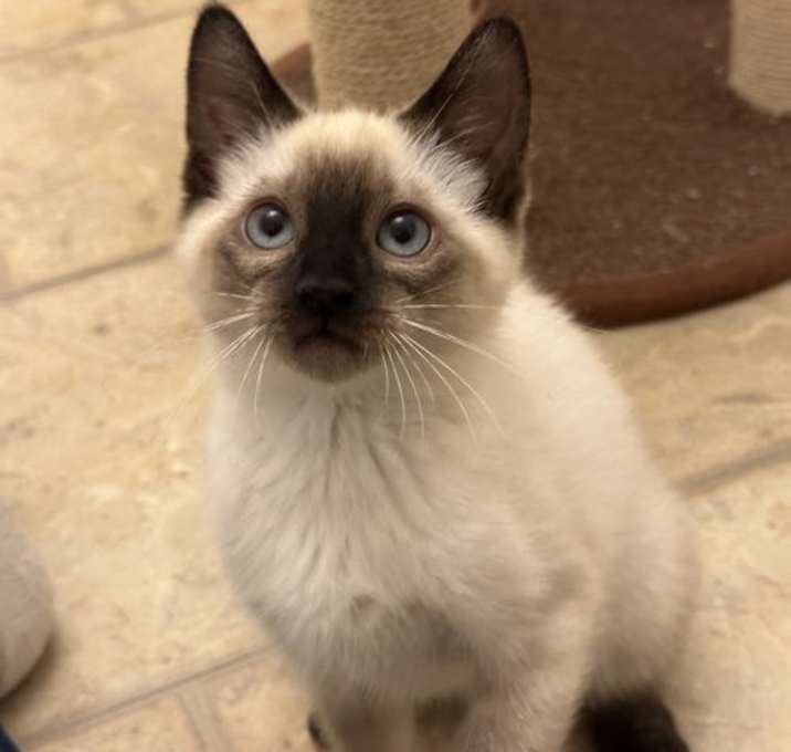 Photo of Hermione