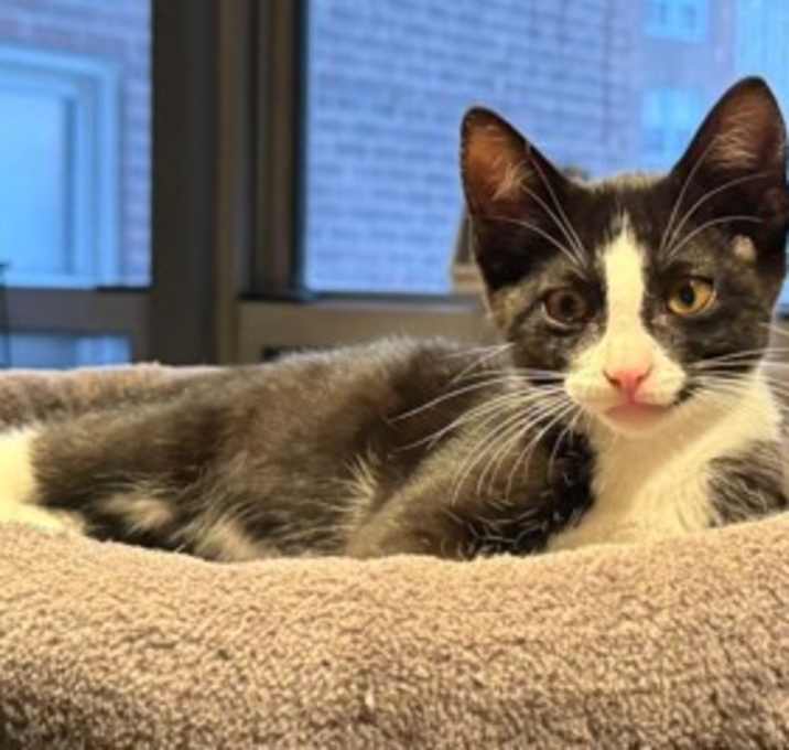 Photo of Maimie