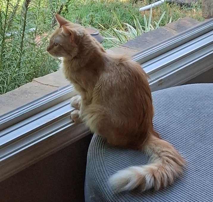 Photo of Sandy