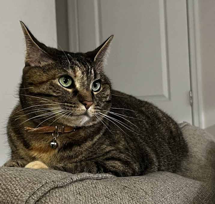 Photo of Juliet