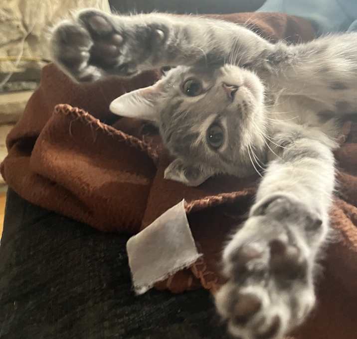 Photo of Gretel