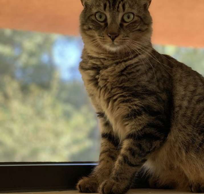 Photo of Lukey