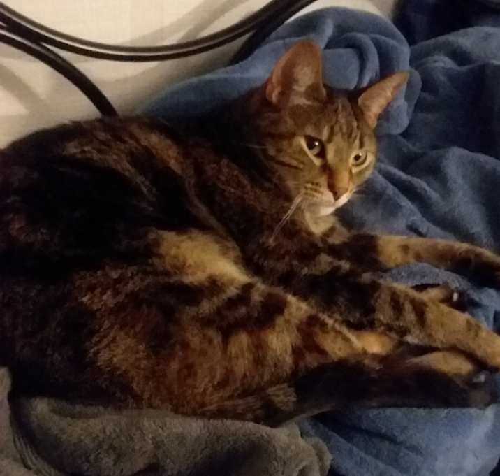 Photo of Lily