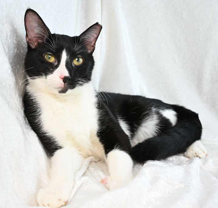 Photo of Caleb