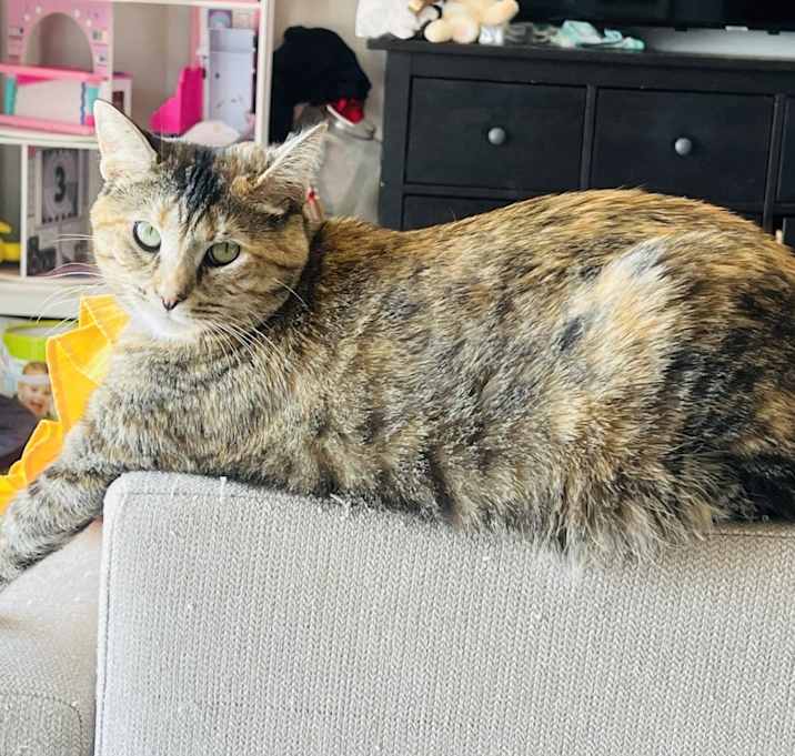 Photo of Miko