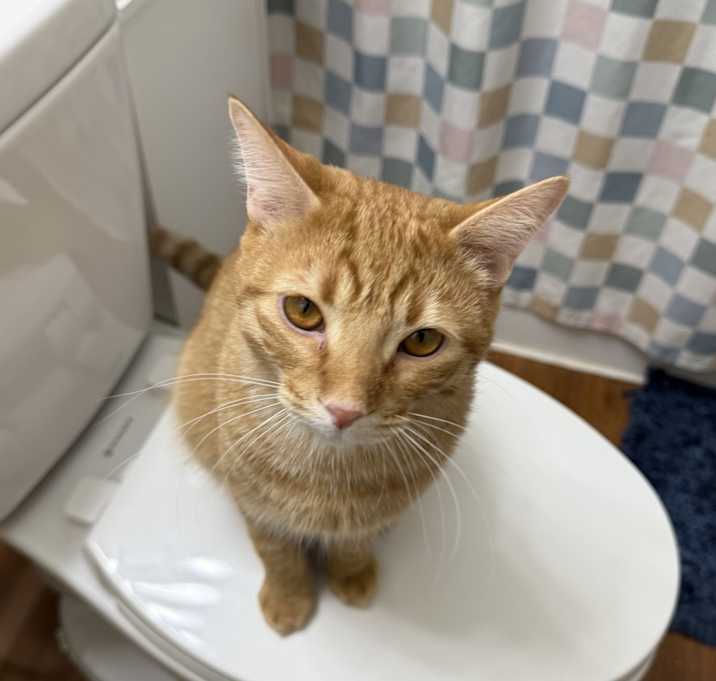 Photo of Chance