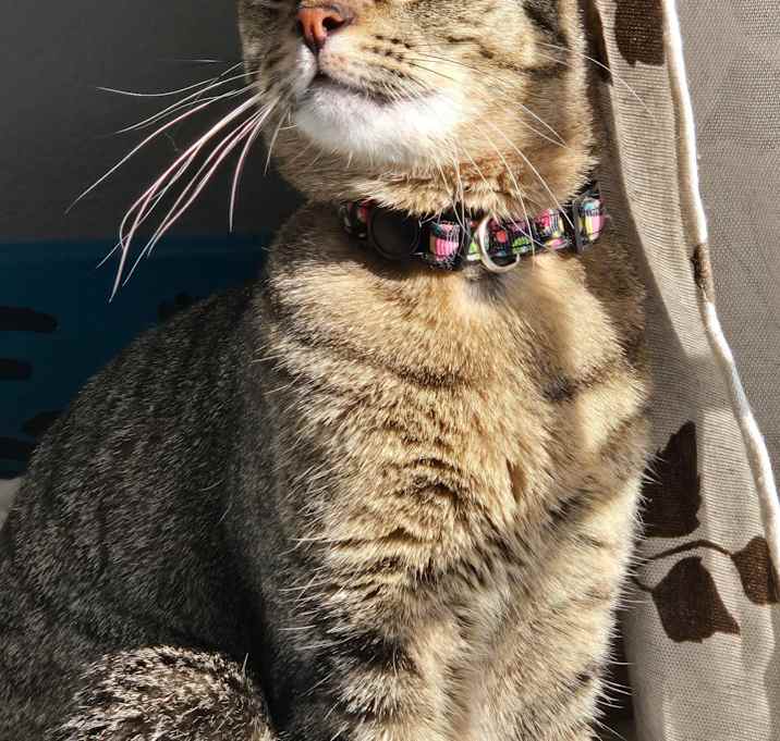 Photo of Aurora (Rory)