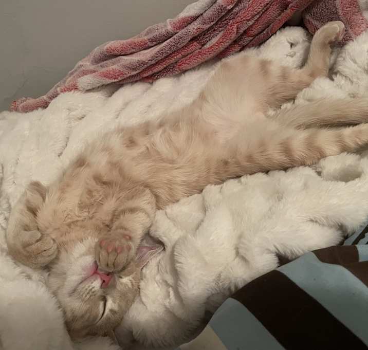 Photo of Grumpy