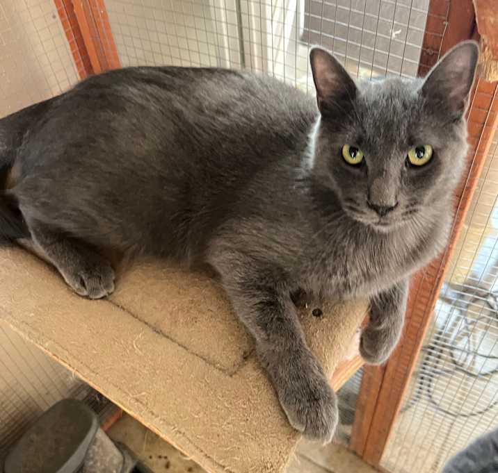 Photo of Handsome BP Boy