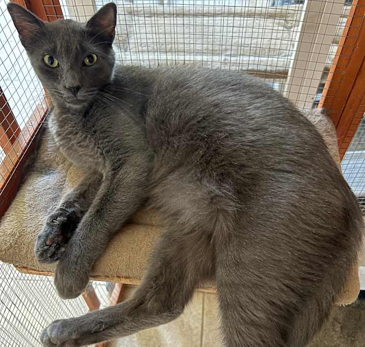 Photo of BP Sweetheart