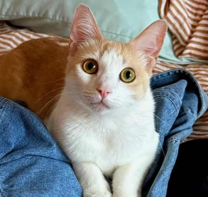 Photo of Lola