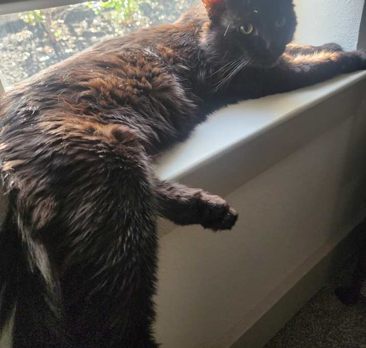 Photo of Salem