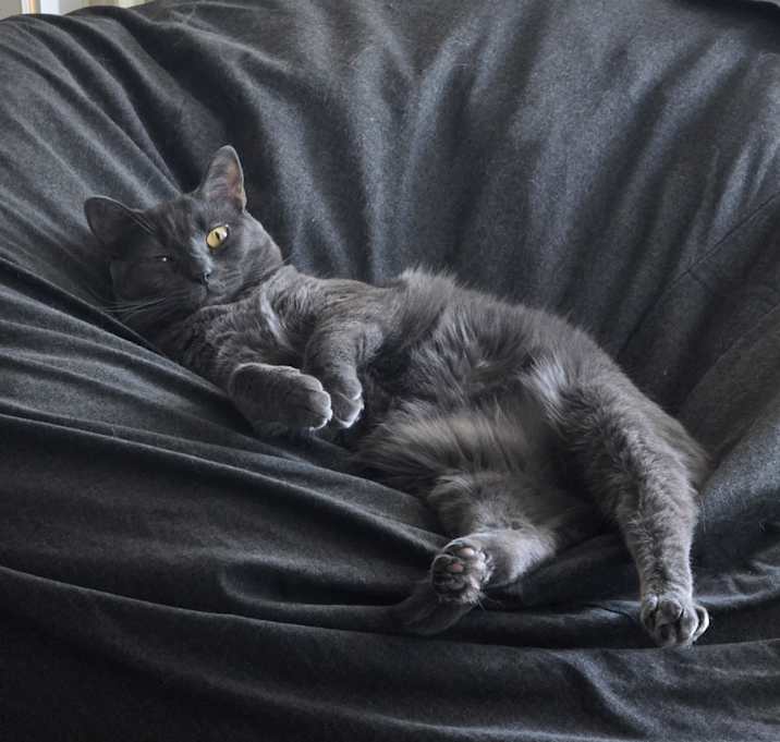 Photo of Charlie