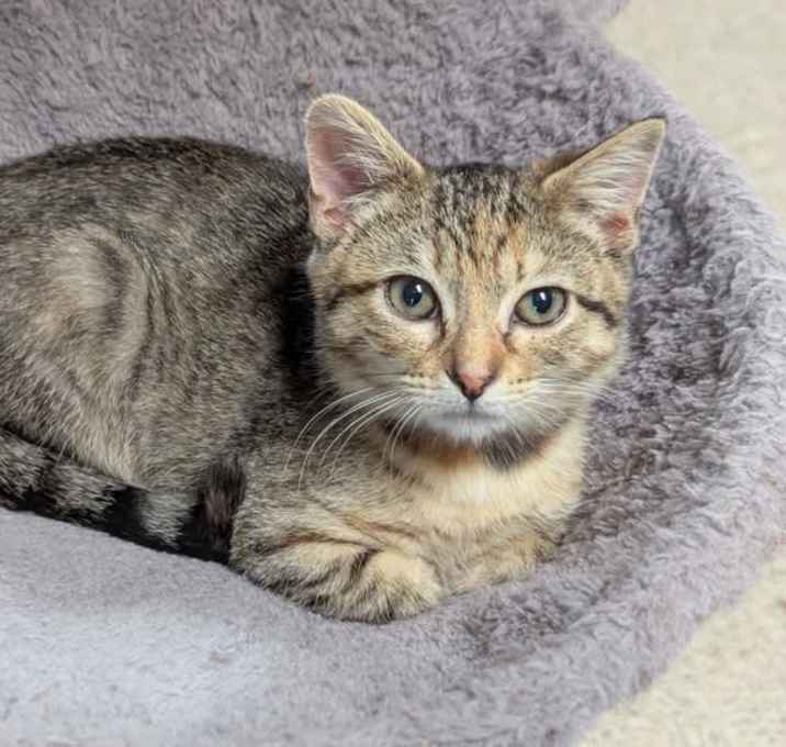 Photo of Clara