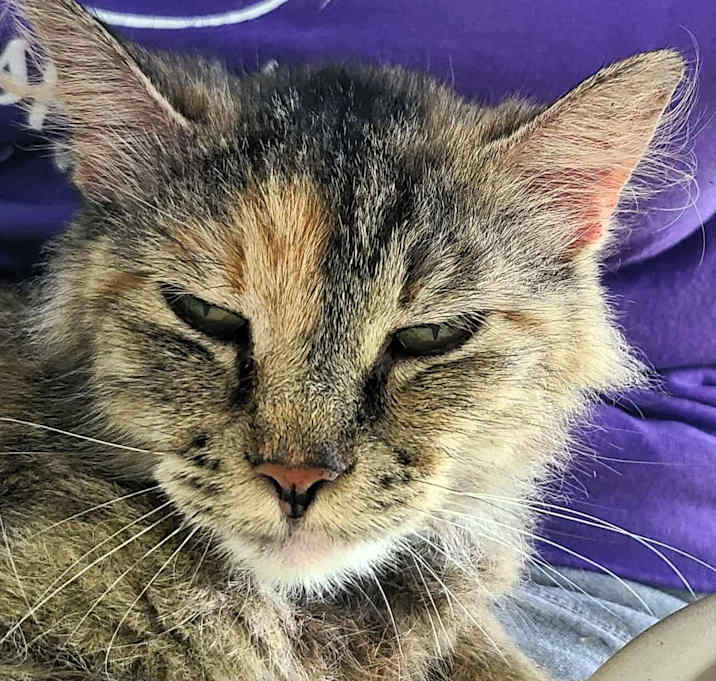 Photo of Carmella