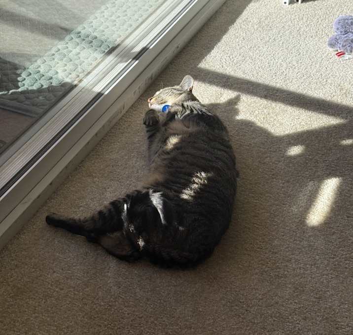 Photo of Mookie