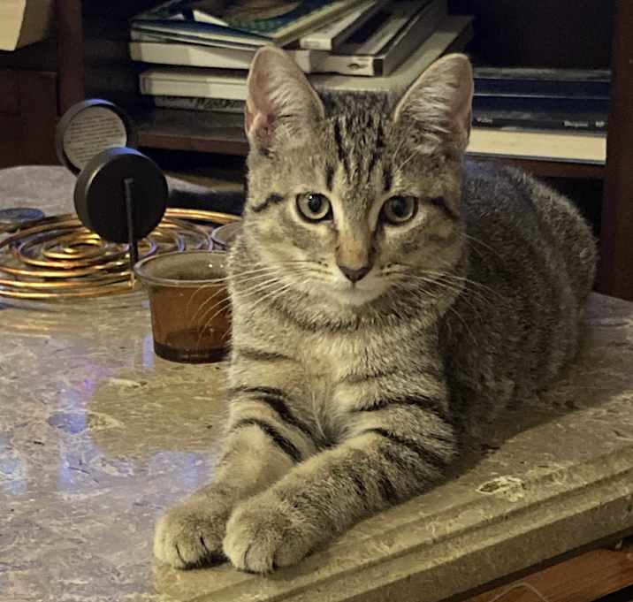 Photo of Astrid