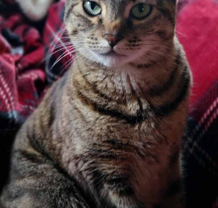 Photo of Squiggles
