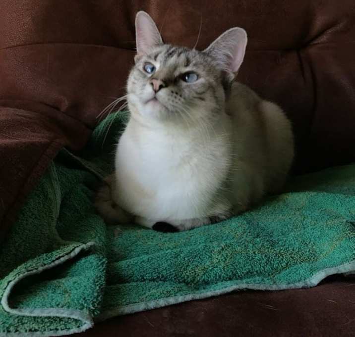 Photo of Lily