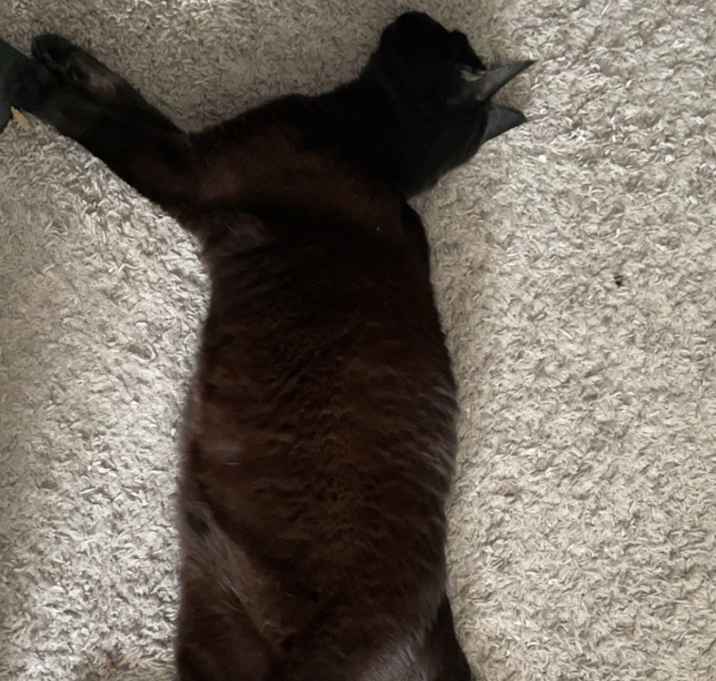 Photo of Buu