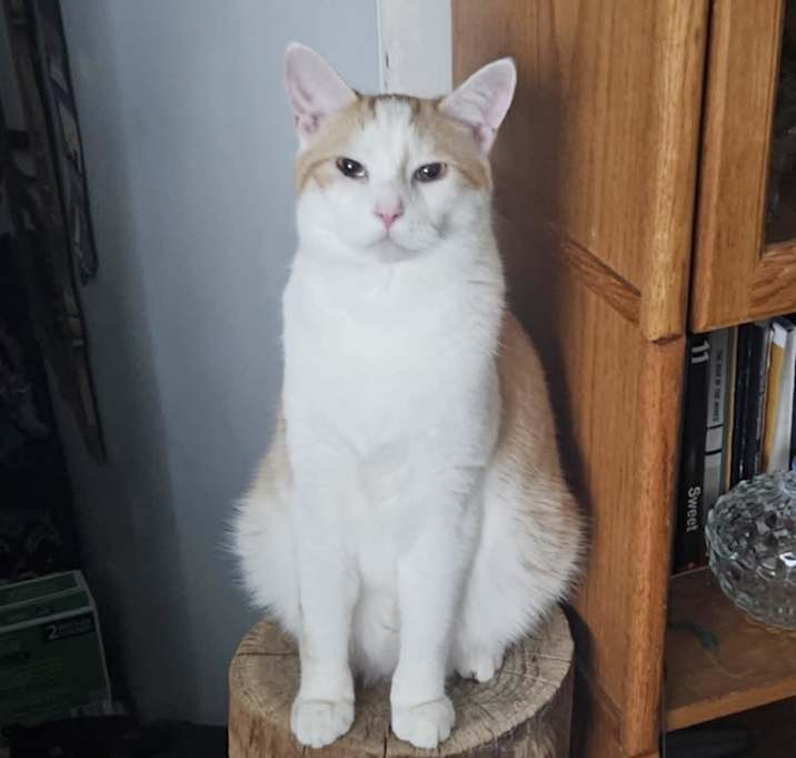 Photo of Jake
