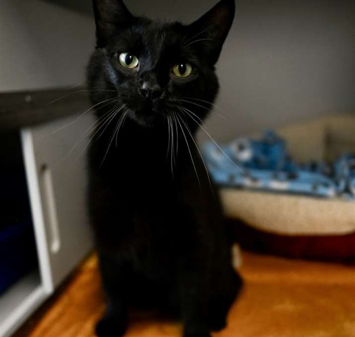 Photo of MR. SCRIBBLES