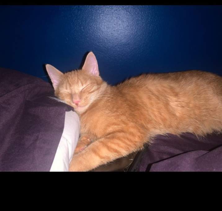 Photo of Kuwabara