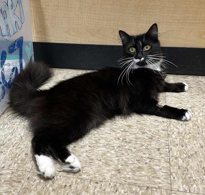 Photo of Izzy