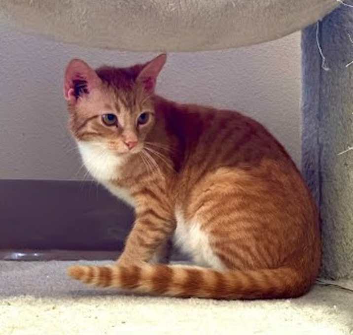 Photo of Hutch