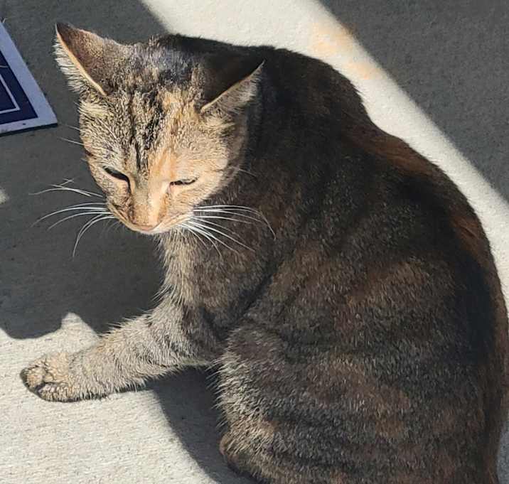 Photo of Fiona