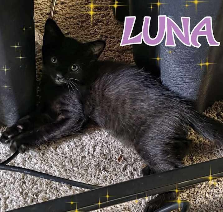 Photo of Luna