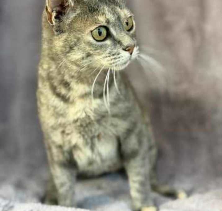 Photo of Evelyn