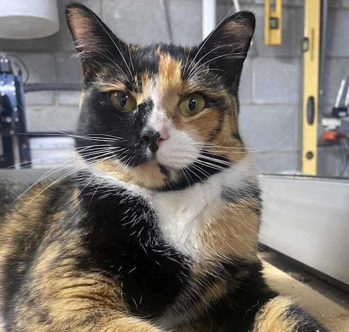 Photo of Margo