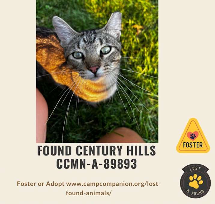 Photo of FOUND NE ROCHESTER